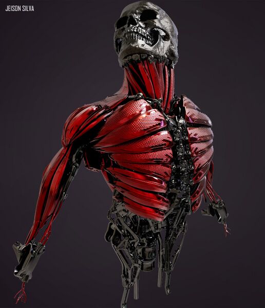 File:Skull muscles by Jeison silva.jpg